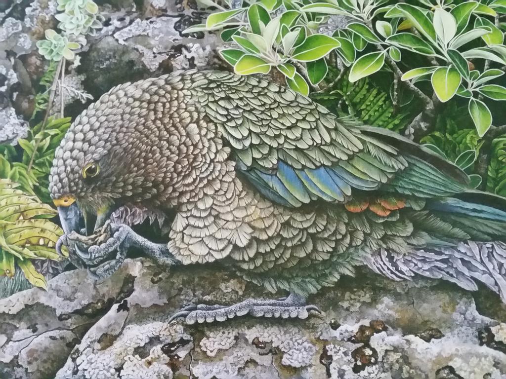 Kea Cottage Te Anau Eksteriør billede